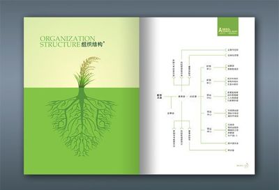 綿陽唯尚品牌推廣全方位解決方案